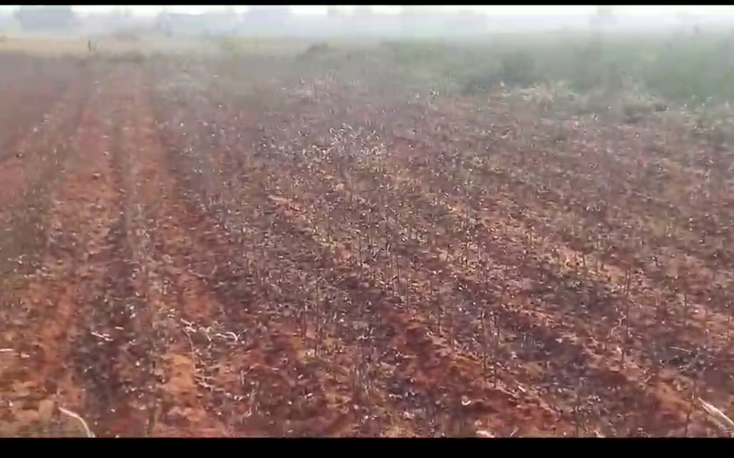 Open lands for sale in chityal ,siddipet
