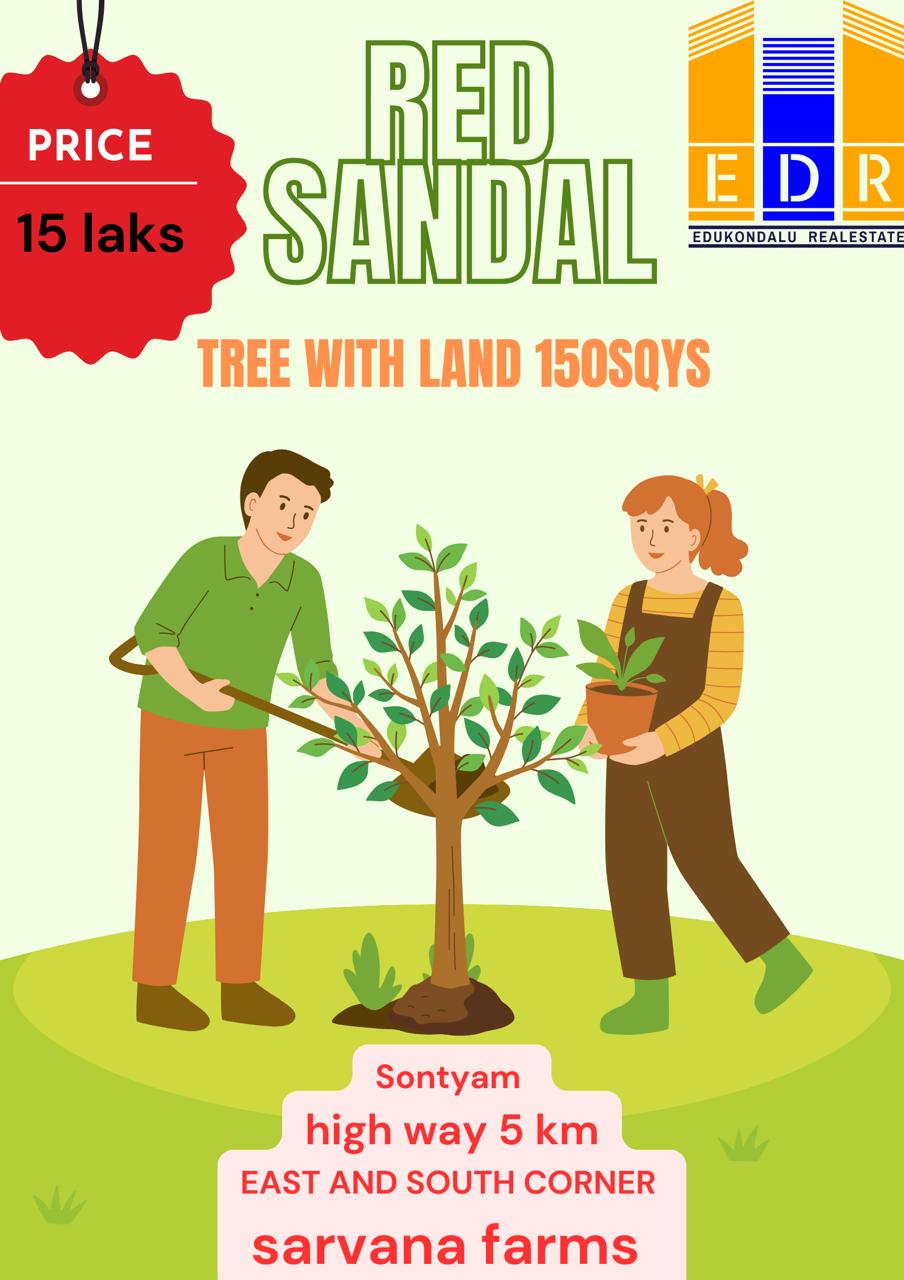 Red sandal trees land for sale at  Vishakhapatnam