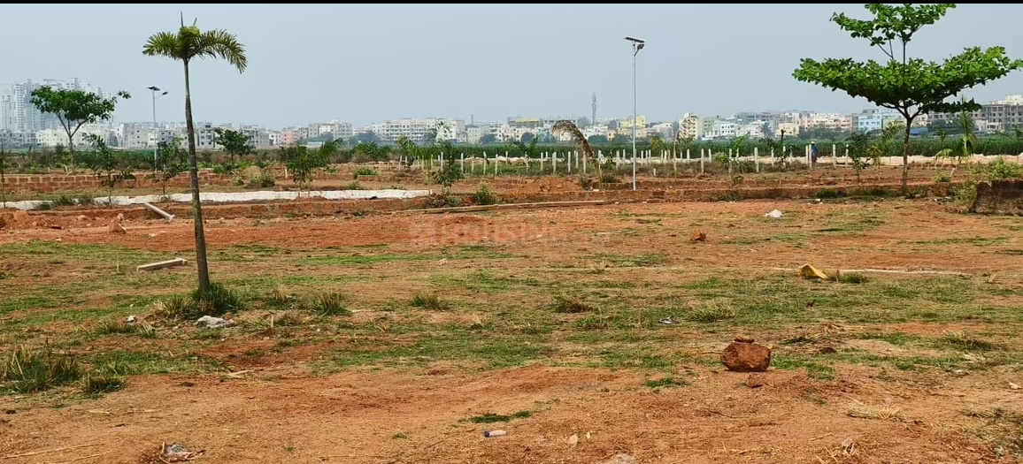Open Plot For Sale Pathargadia Near Kiss