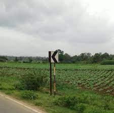 Agriculture Land for sale in Hassan