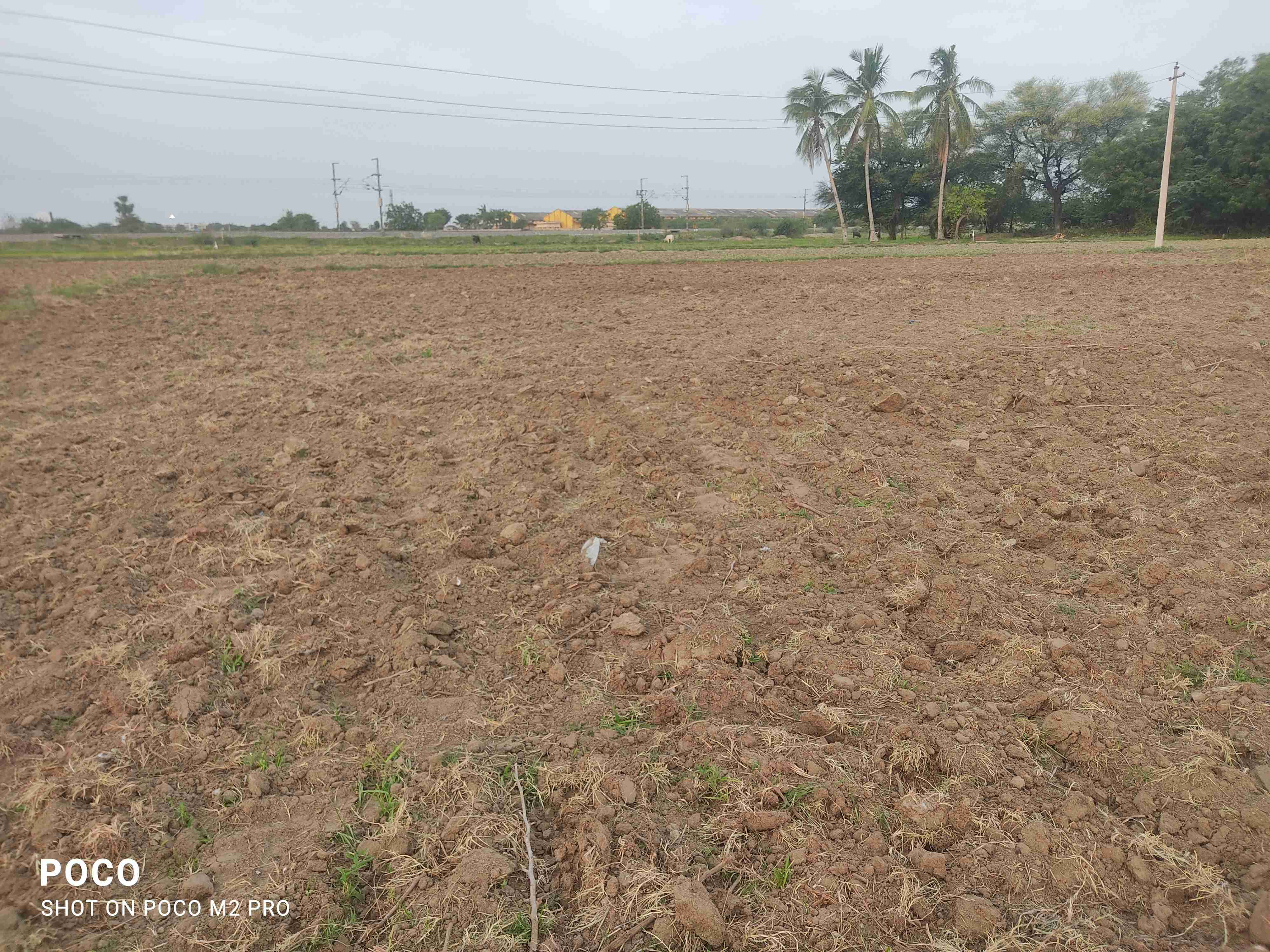Agriculture land 