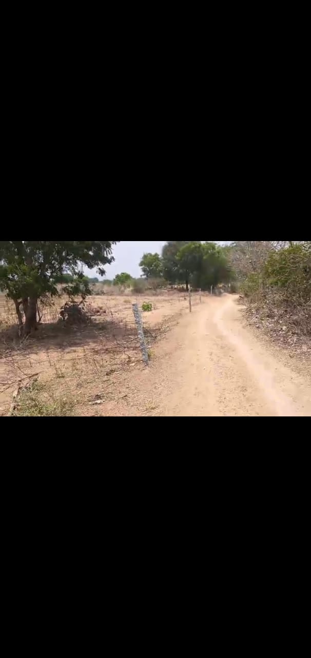 6 Acres Agriculture land for sale at Jagadevpur