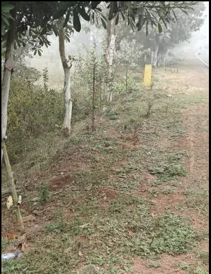 42 Acres Land For Sale At Hindol