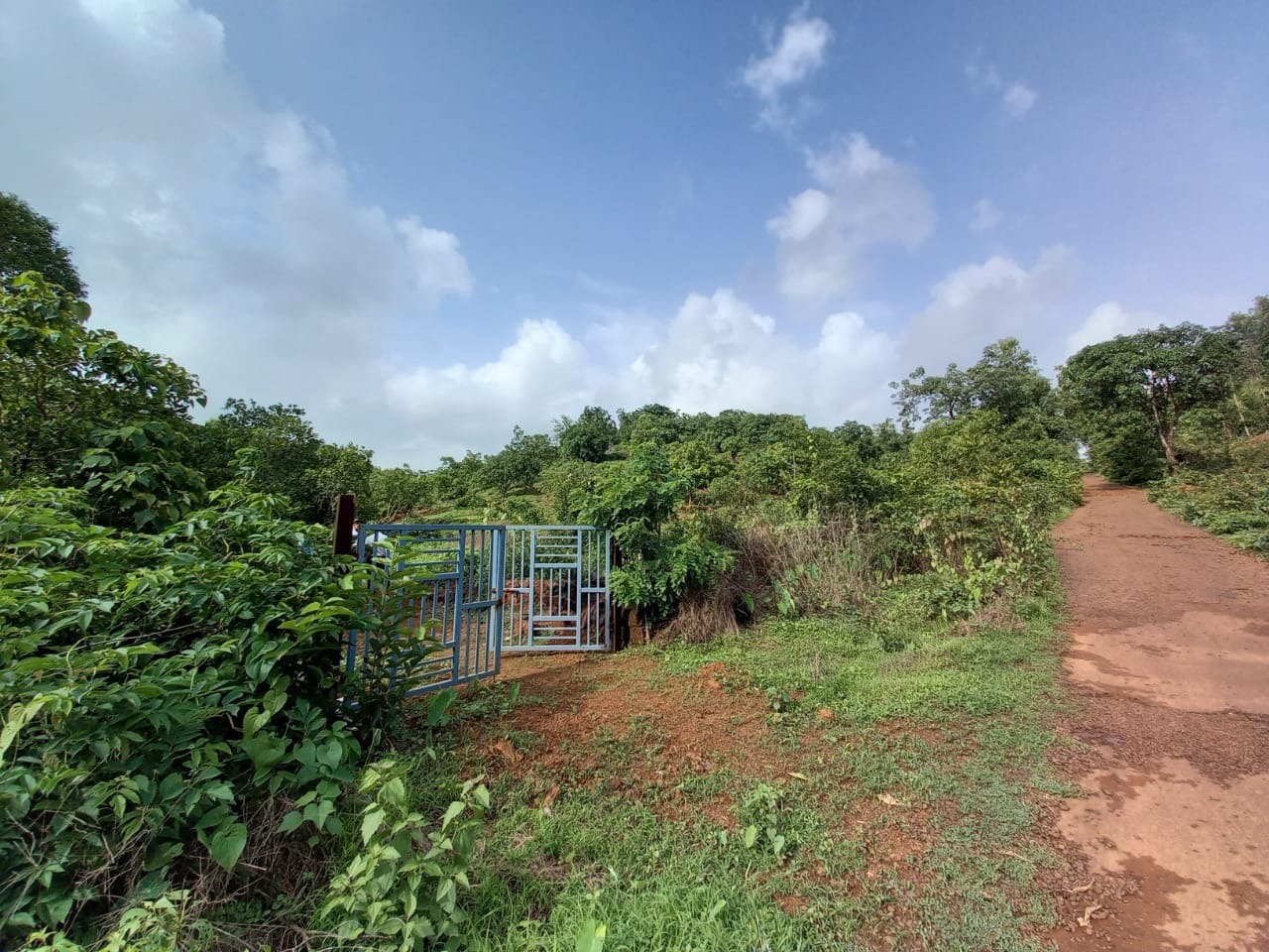 2.5 Acres of Land For Sale in Karanjali, Dapoli Taluka