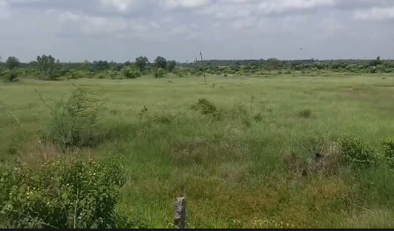 Agricultural Land For Sale In Nagunoor Siddipet