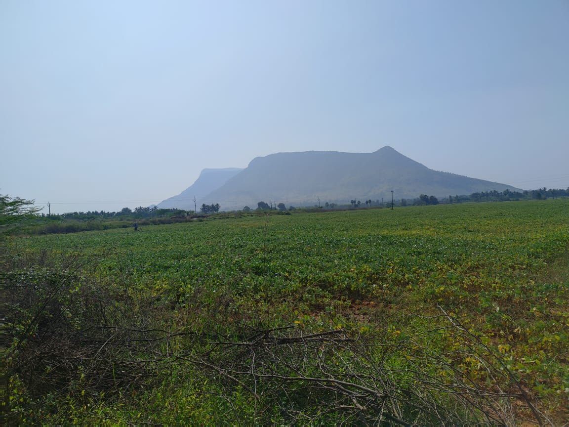 27 acres land for sale near Chennai