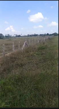 10 Acres Agricultural Land For Sale In kondapaka Siddipet
