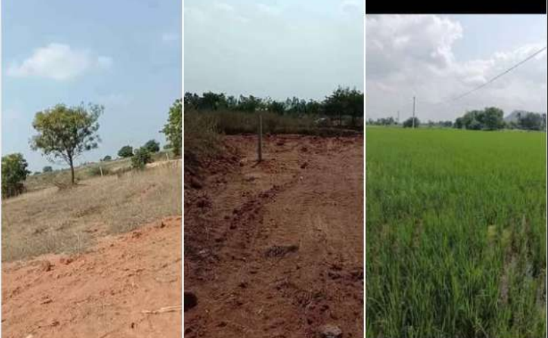6 Guntas Agricultural Land For Sale At Patancheru