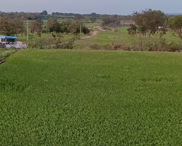 2 Acres Agricultural Land For Sale At Koheda Siddipet