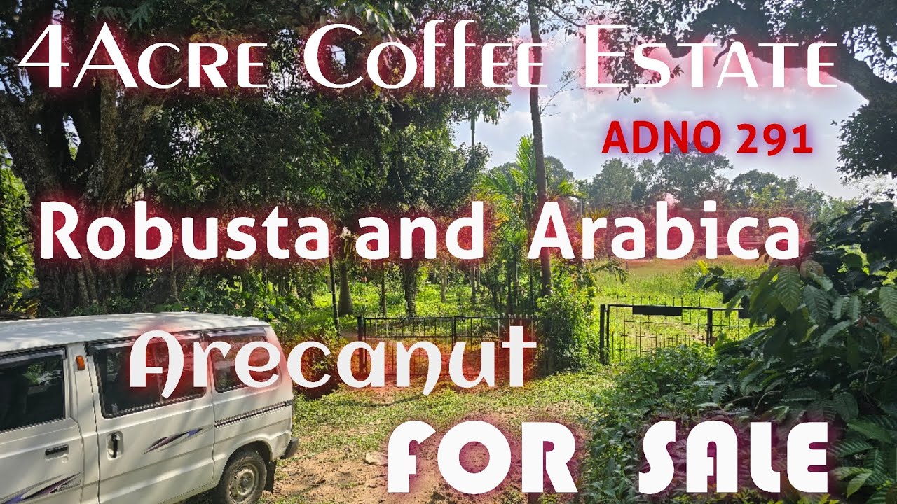 4-Acre Coffee Estate in Virajpet Taluk, Coorg, Karnataka