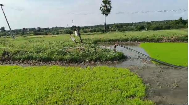 1 Acre Agriculture land for sale in koheda  Siddipet