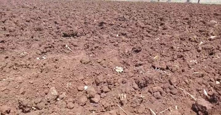 Agricultural Land For Sale in Tattepalle Vikarabad
