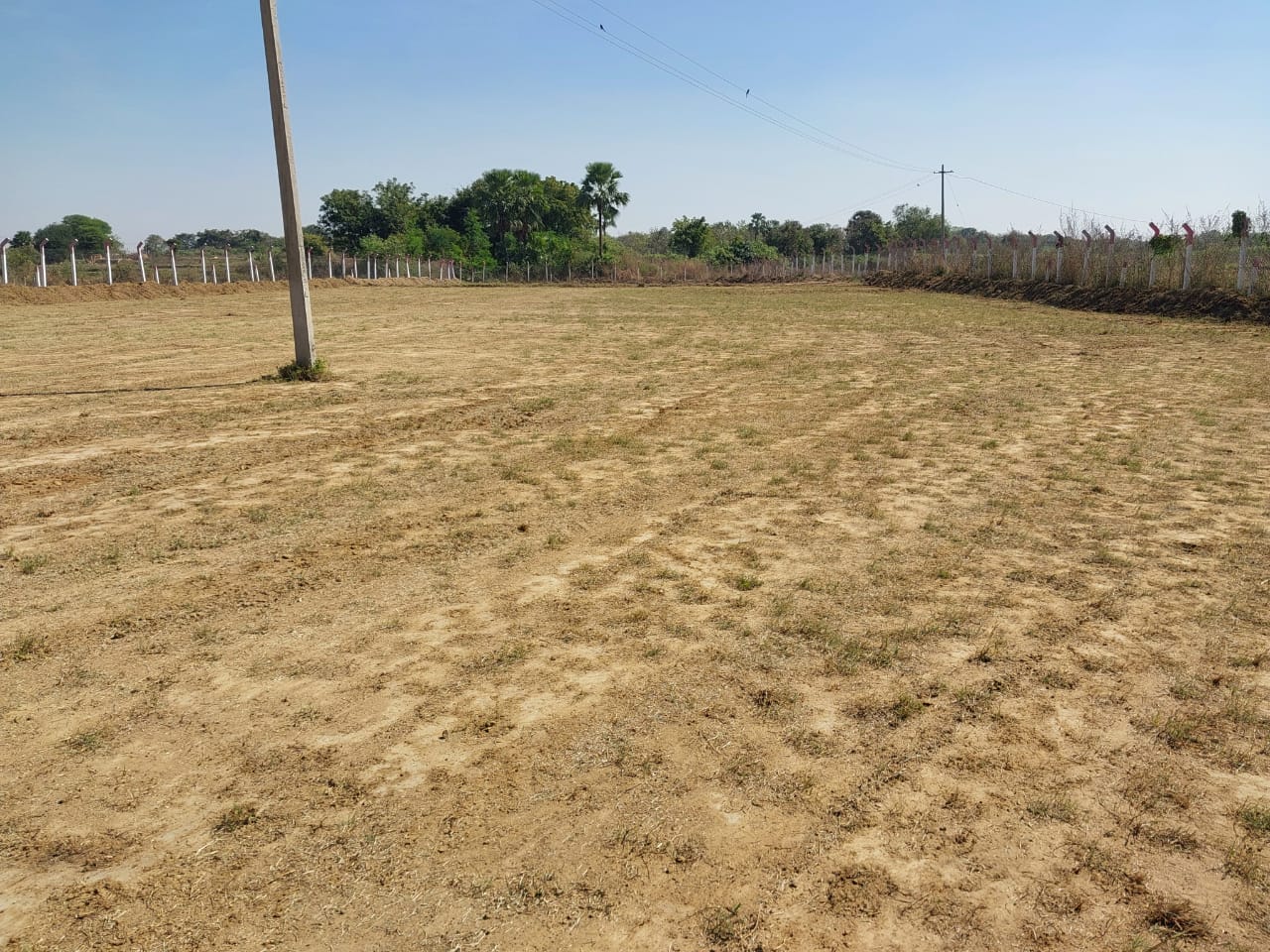 1 acre  land for sale at Nagunoor Siddipet