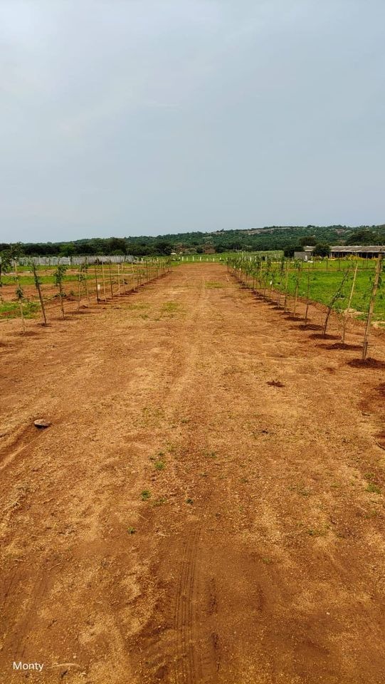 Keesara Farm Land and Farmhouse for Sale in Keesara
