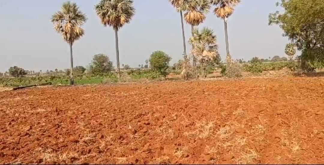 Agriculture land for sale at Venkatapuram , Gadwal