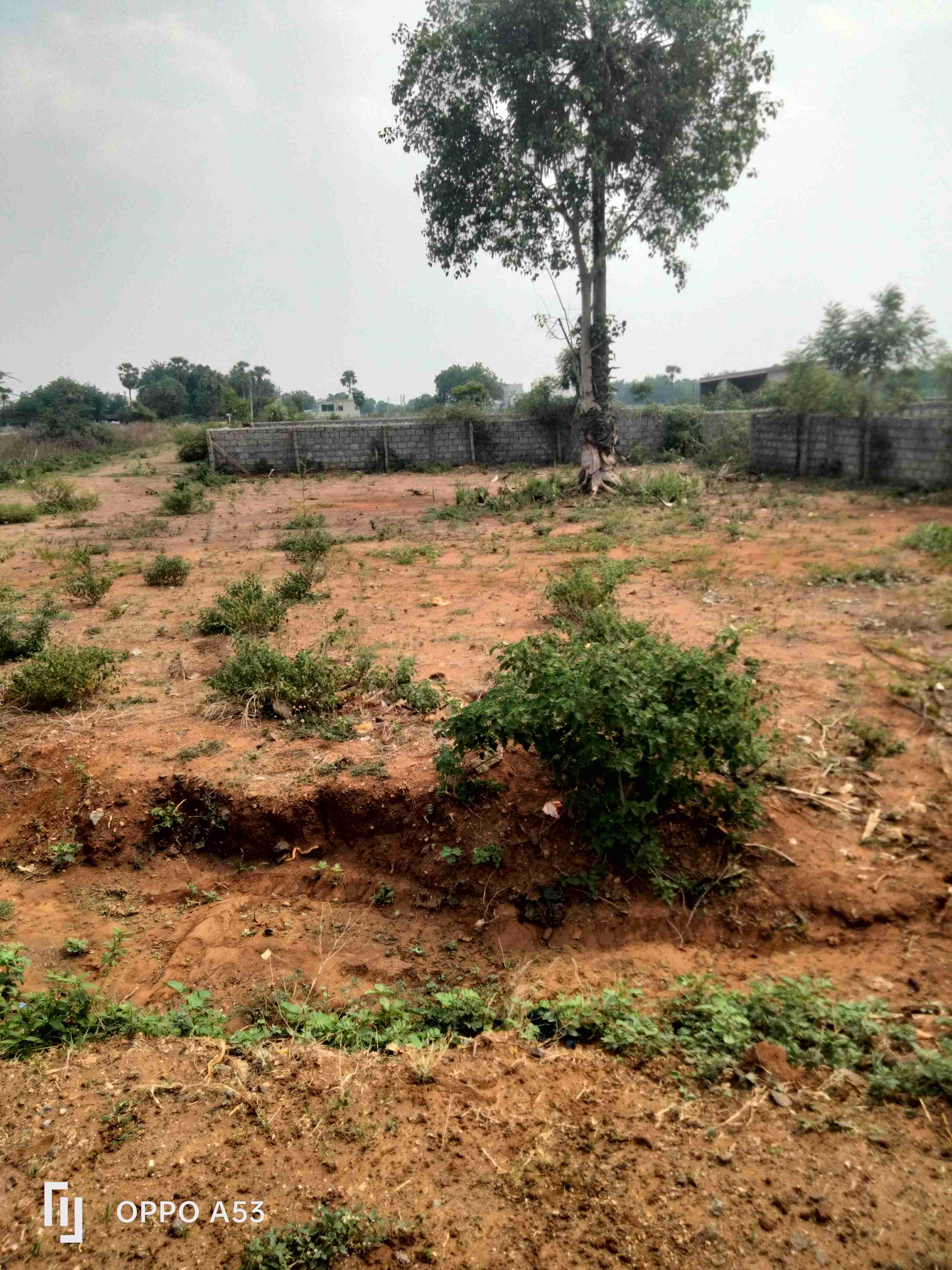 Commercial land 700 gajallu 
