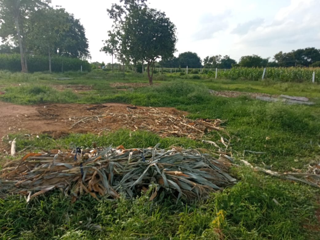 Agricultural Land for Sale in Veluru, Vargal Mandal, Siddipet District