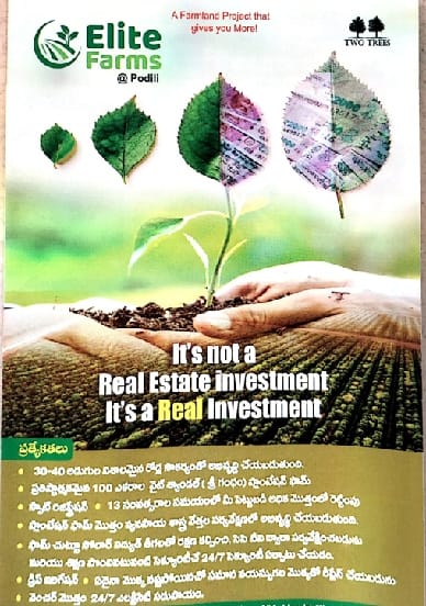 TWO TREES Farm land venture at Kanigiri 