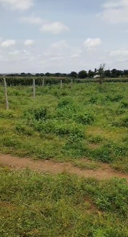 1 Acre 20 Guntas Land For Sale In Keshampet Ranga Reddy