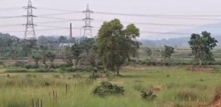 14 Acres Farm Plot For Sale In Jirabar Jharkhand