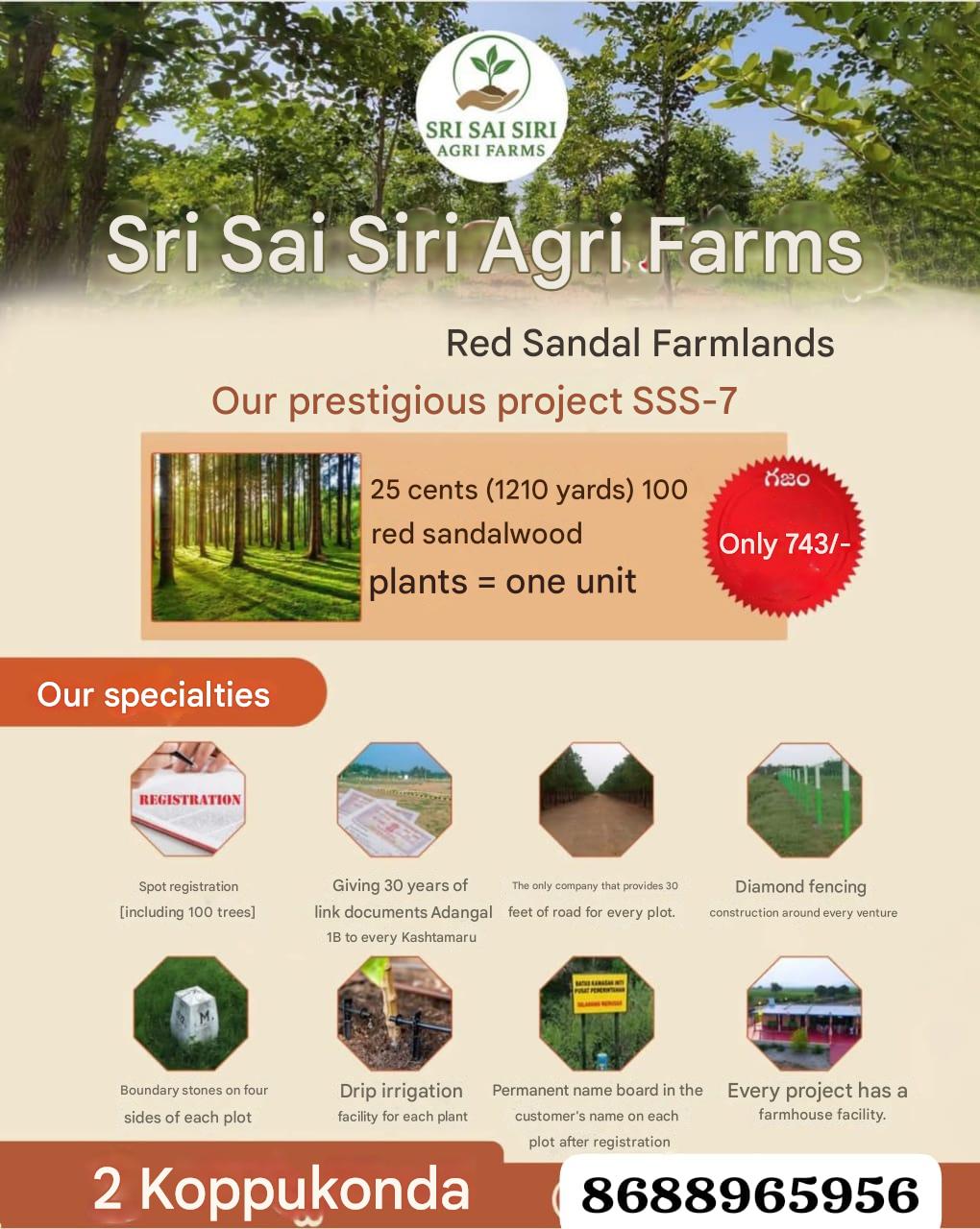 Farm Plots For Sale @ Ramalingapuram Nellore