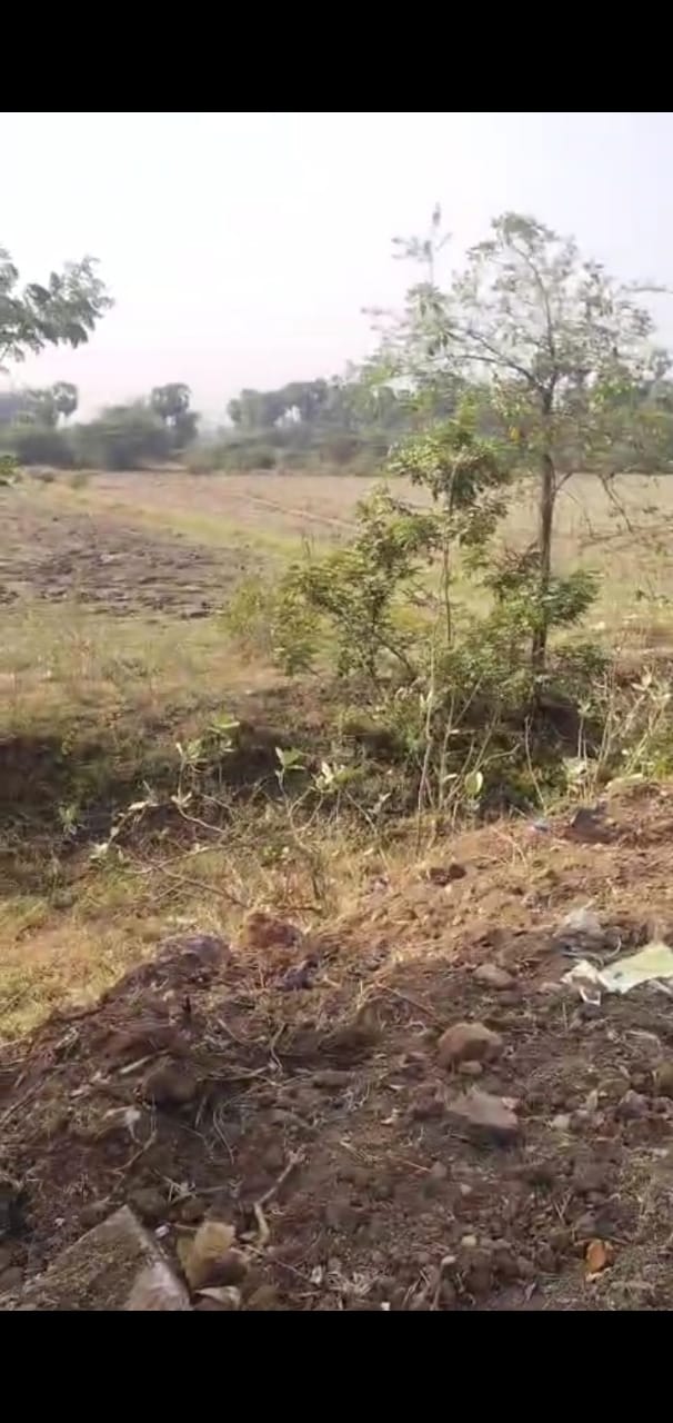 173 acres Agriculture land for sale at Bhogapuram