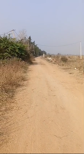 6 Acres Land For Sale At Pulimamidi Kandukur