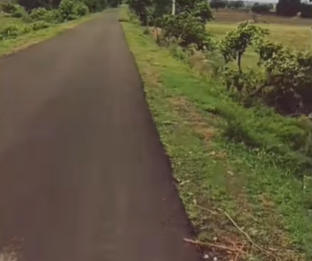 5 Acres Land For sale in Bennur  B Village Karnataka