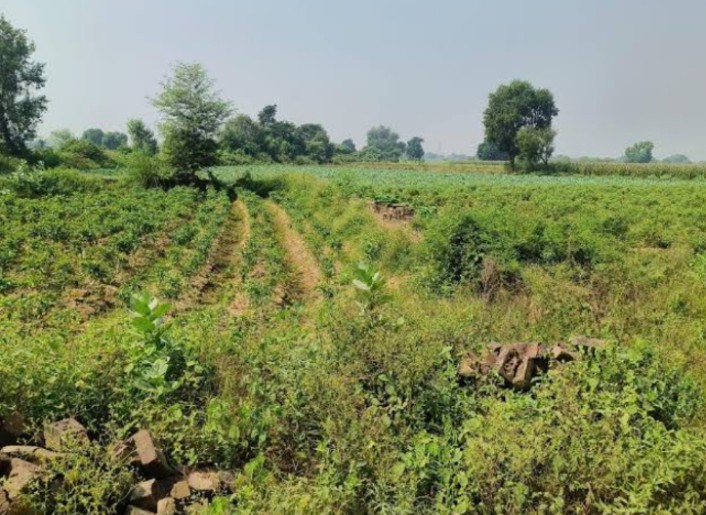 Agricultural Land for Sale Near Nandigama, Krishna District, A.P