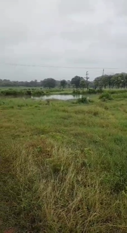 18 Acres Agricultural Land For Sale In Doulthabad Vikarabad