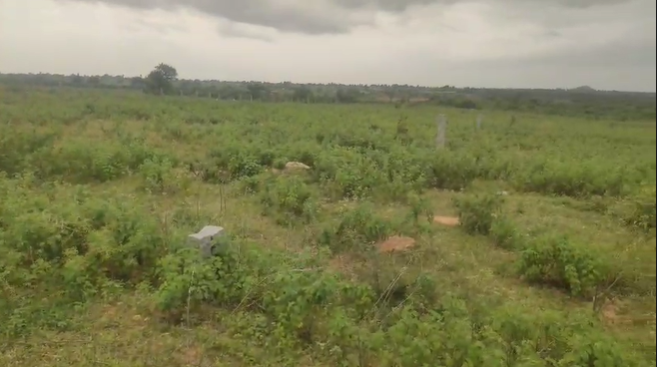 33 Acres Agricultural Land For Sale In Tharigoppula  Jangaon