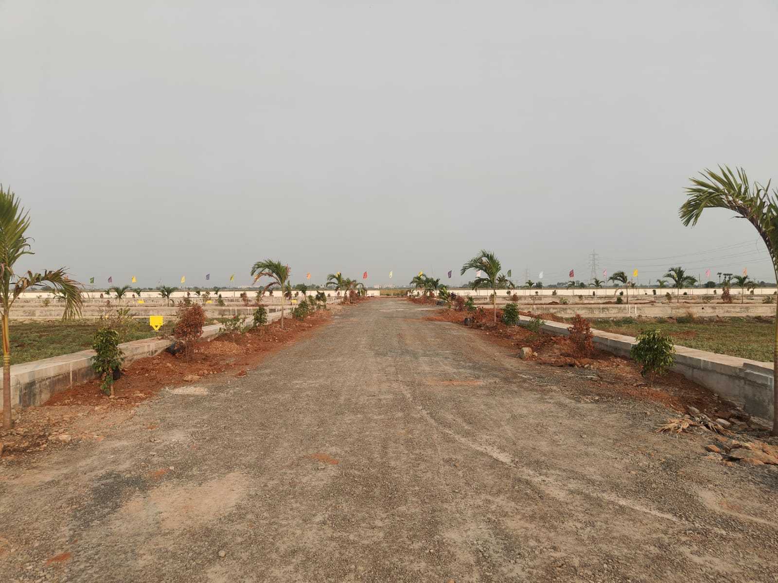 Kesarapalli Open Plots for sale 