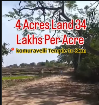 4 Acres Agricultural Land For Sale At Thimmareddypally Siddipet
