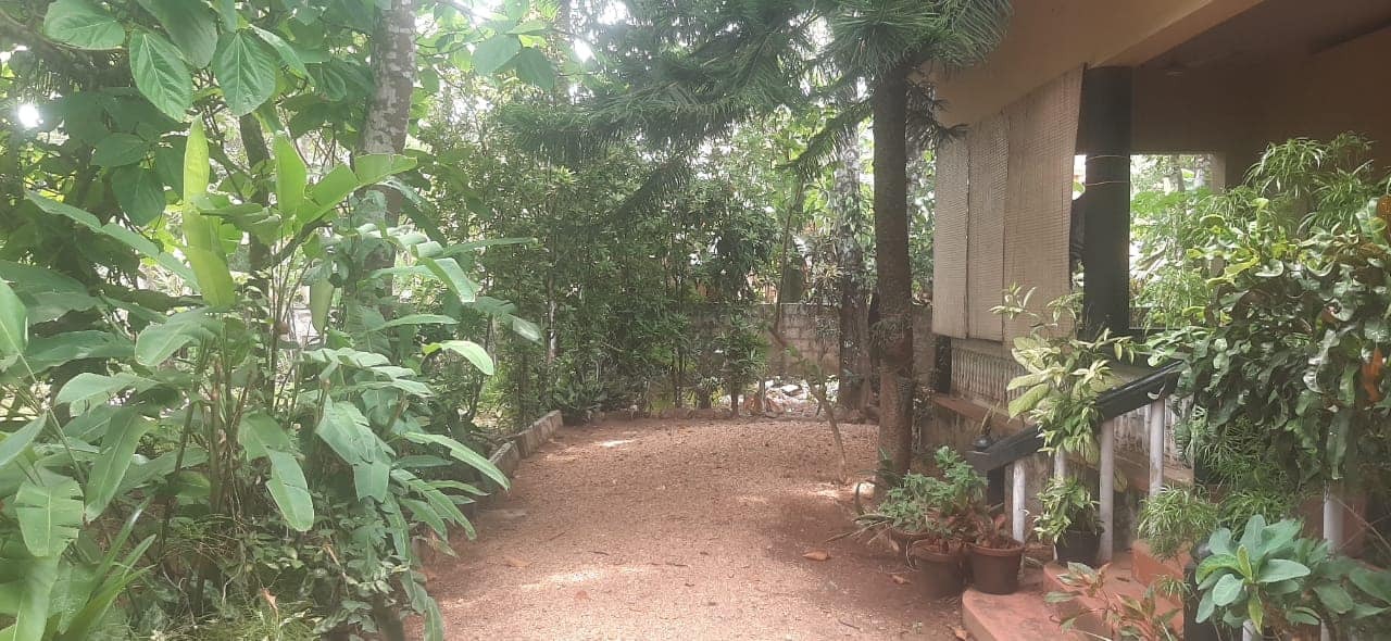 Prime House Plots for Sale at Paruthumpara Junction