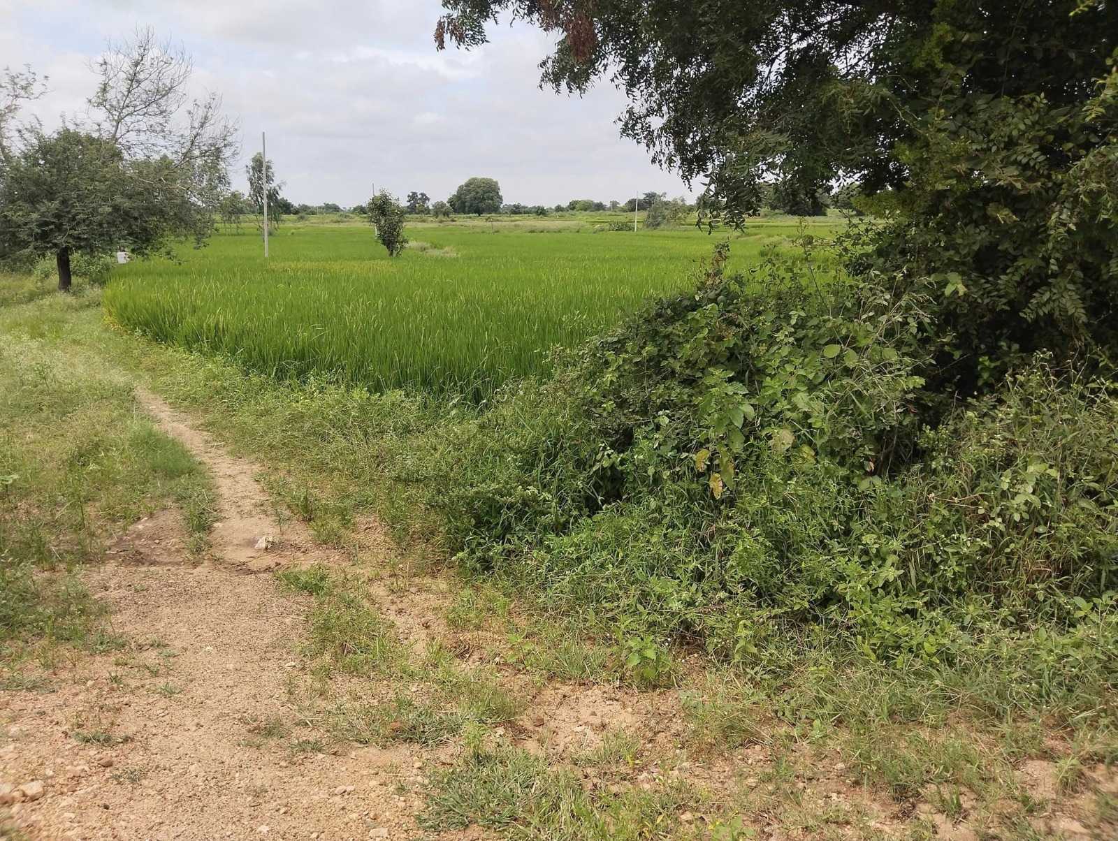 2 Acres Agricultural Land for Sale in Takmal, Medak