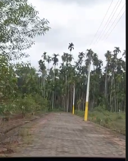 3 Acres Agricultural Land For Sale In Adyandka Puttur