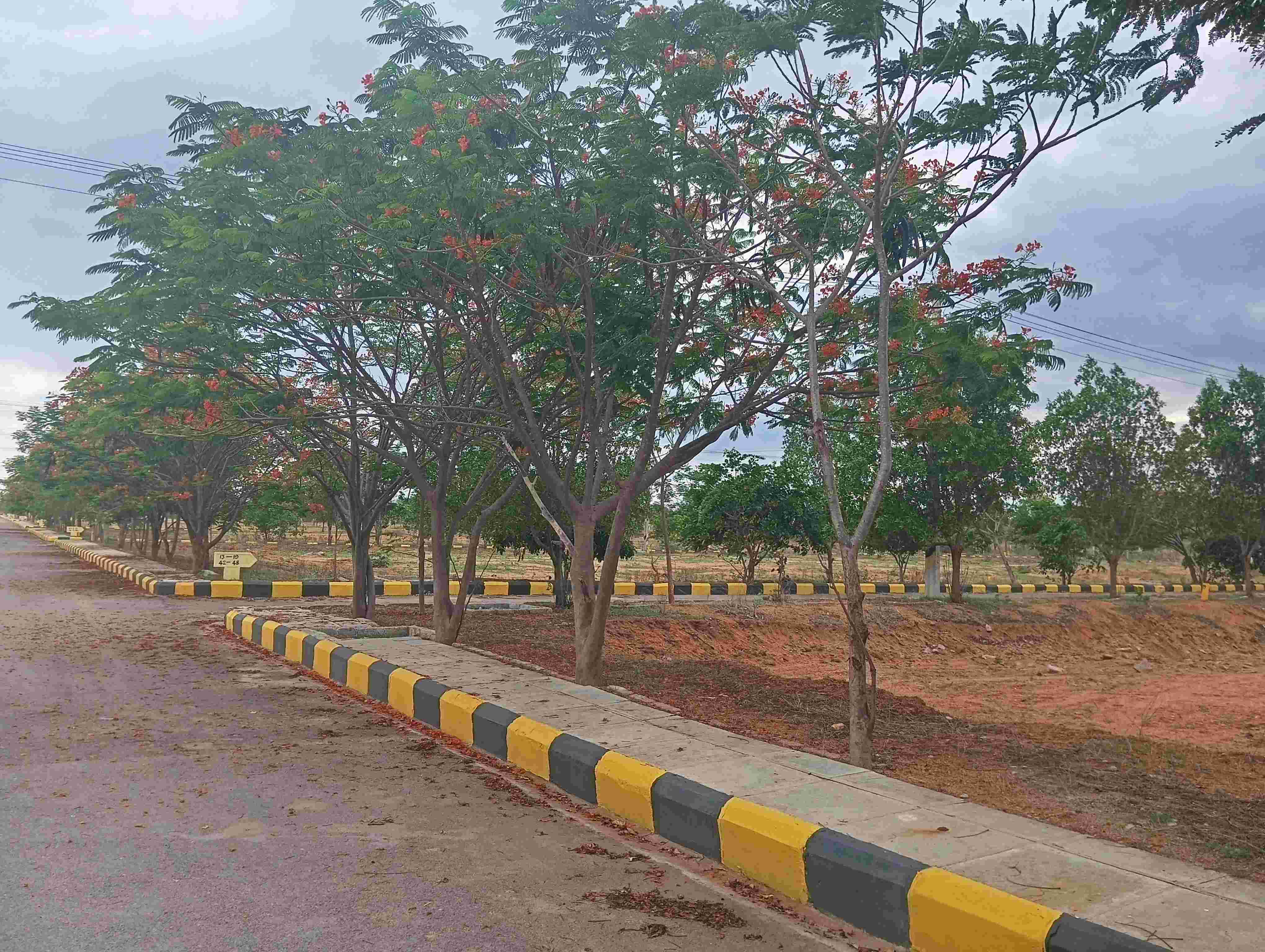 HMDA plots in Hyderabad FutureCity 