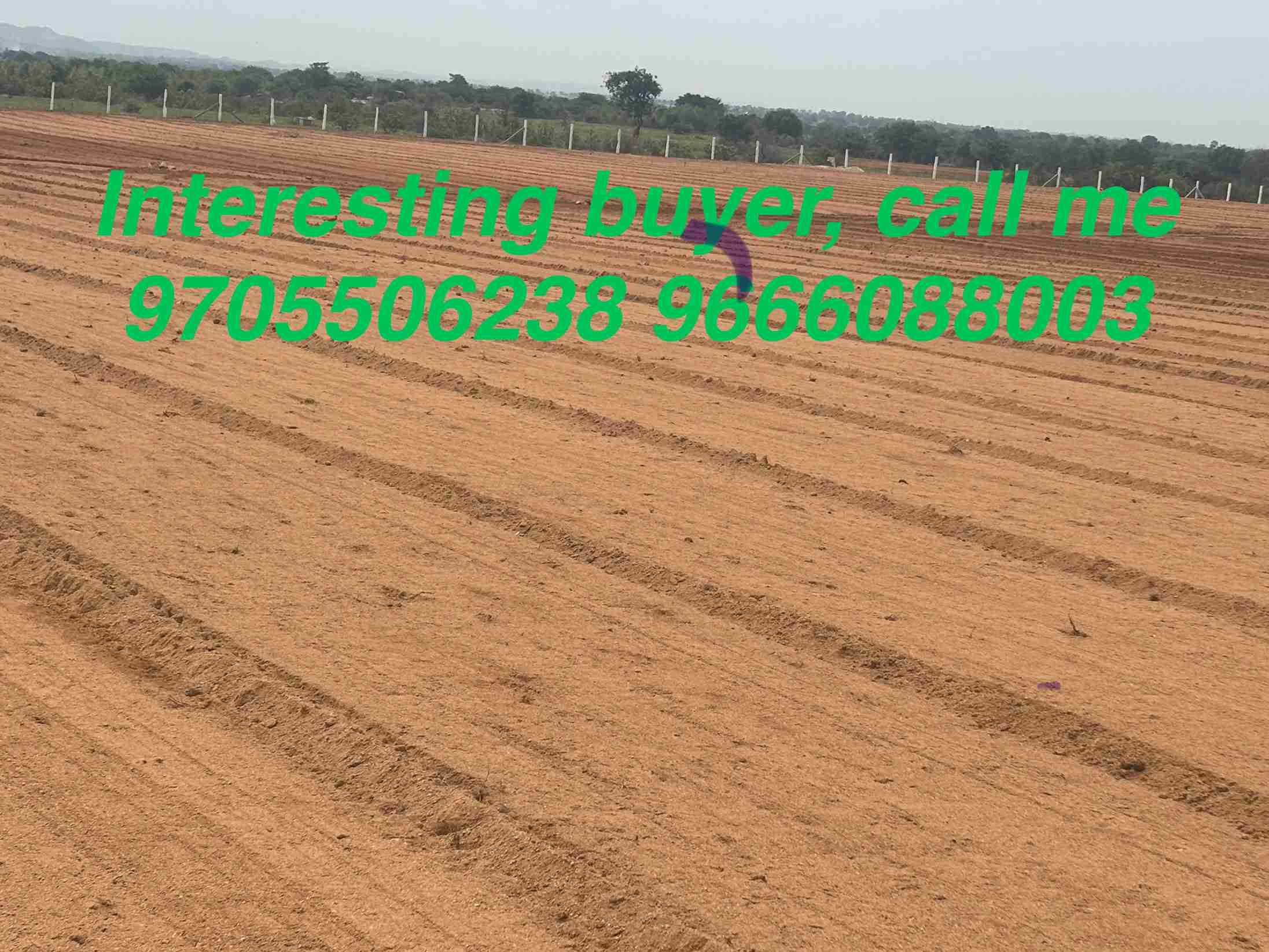 5Acre Agricultural Land for Sale Near Nagar Kurnool