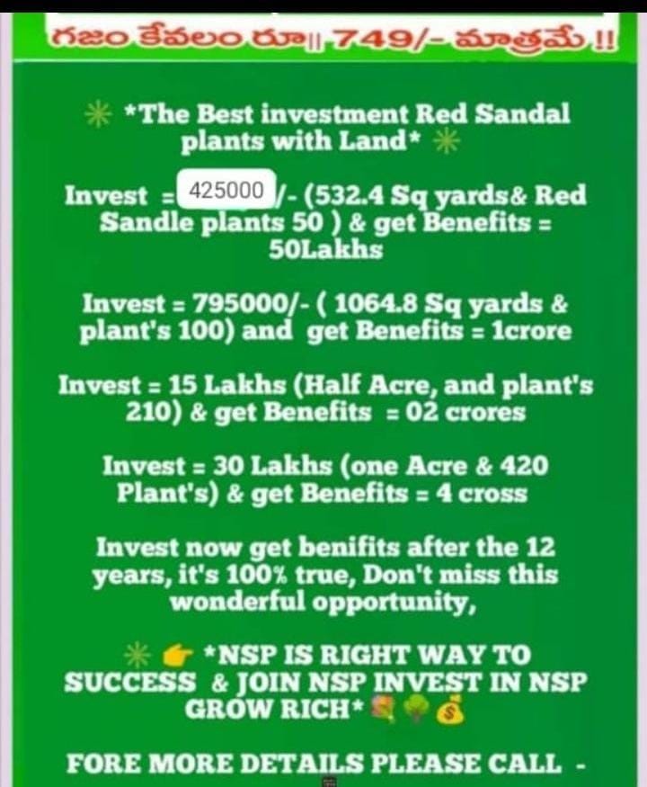 Red sandal farm Lands for sale in Prakasham district