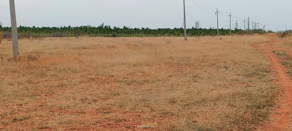 3 Acres 20 Guntas Land For Sale At Parashurampura Karnataka