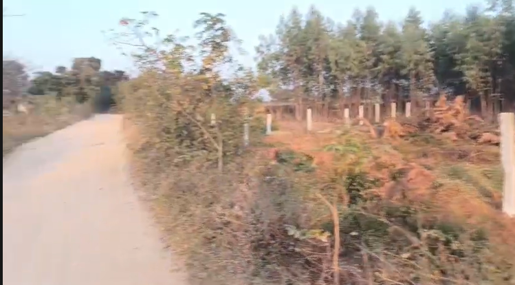 30 Guntas Land For Sale At Mirdoddi Siddipet 