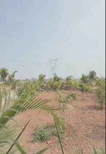 Farm Land Plots For Sale At Kurnool