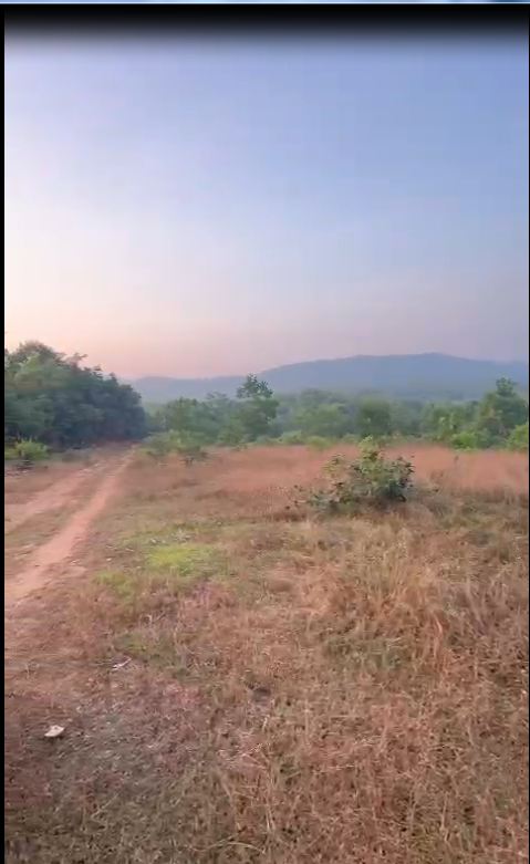 6 Acres Land for Sale in Aliyoor Road, Belvai