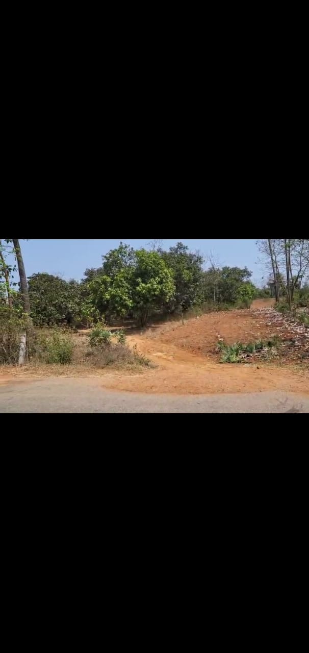 22 Acres Agriculture land for sale at Gudepuvalasa Bhogapuram