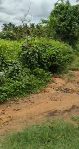 39 Guntas Land For Sale In Kanakapura