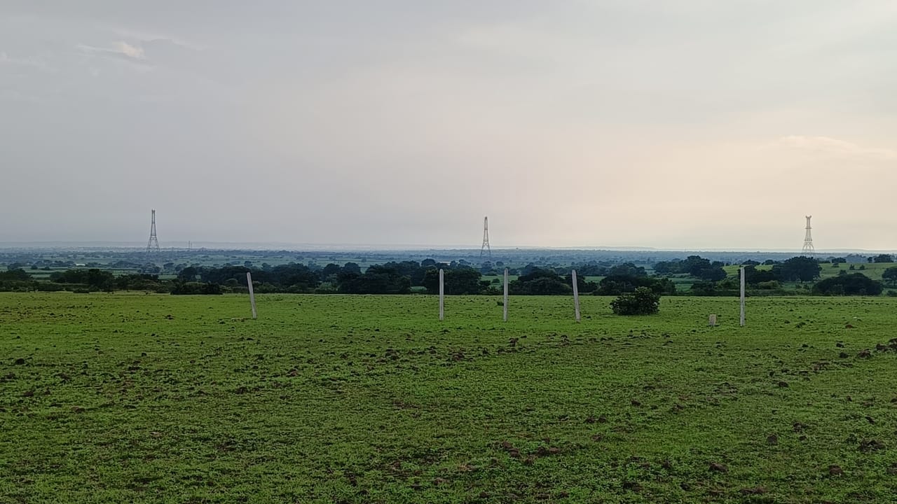 50 Acres land for sale in Zaheerabad 