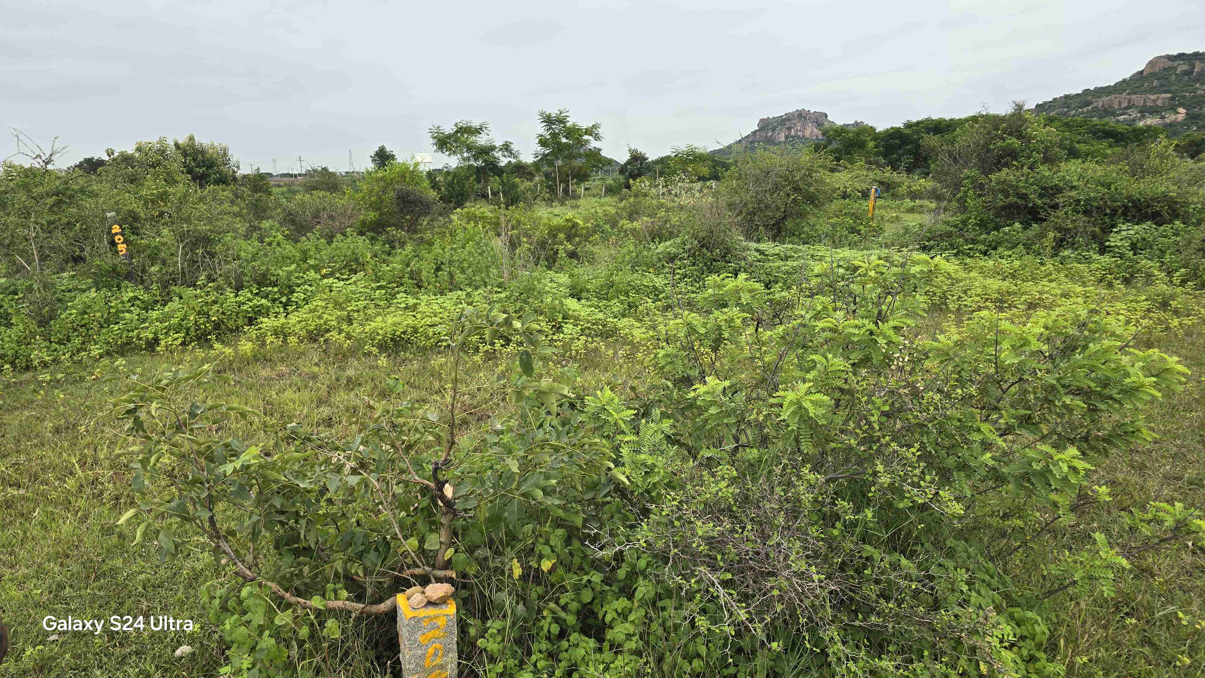 8 Acres land for sale at macharam jadcherla. 