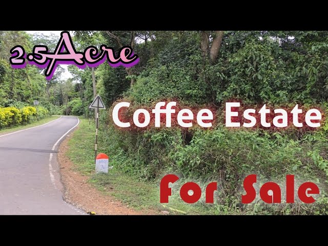2.5-Acre Coffee Estate For Sale on Main Road, Coorg, Karnataka