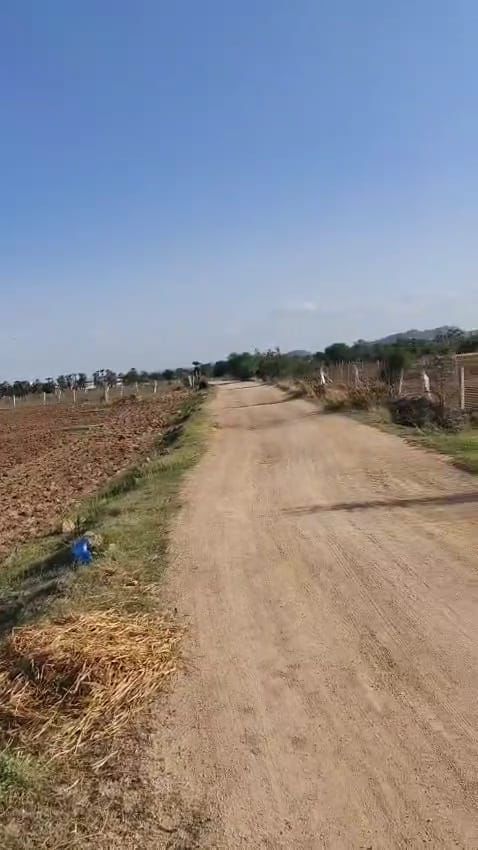 7 Acres Agricultural Land For Sale In Madgul Ranga Reddy