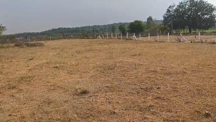 19 gunthas or 23111 sqyrds agriculture land